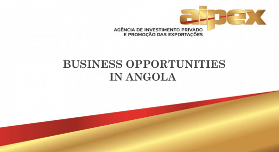 الفرص التجارية في أنغولا