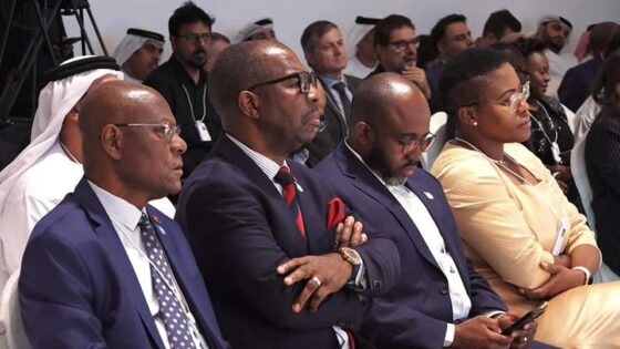 Angola participates in the world summit of governments in Dubai
